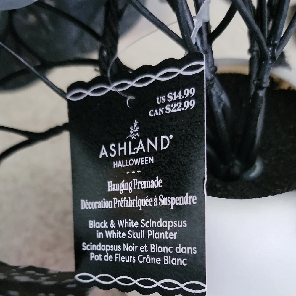 New 2 Ashland Halloween Black and Cream Skull Planters